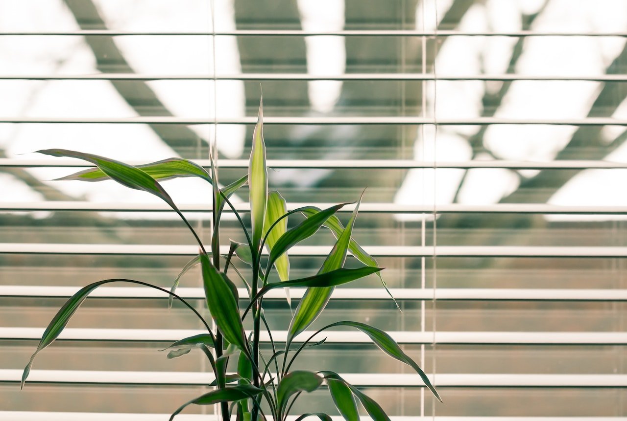 Blinds in Qatar